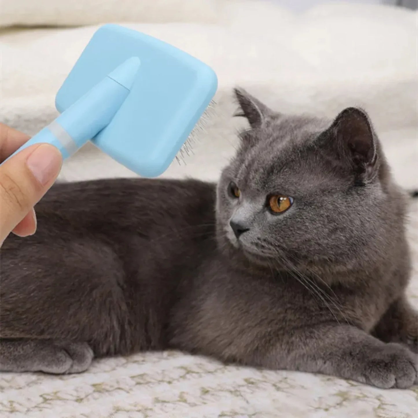 Dog Brush Pet Hair Remover