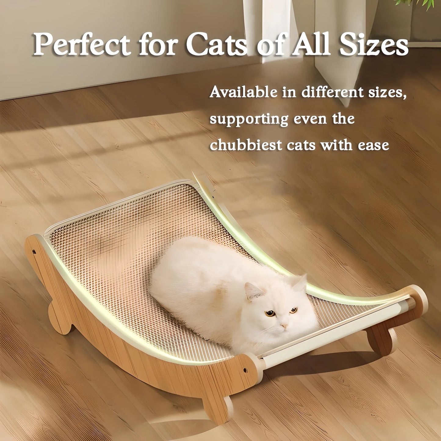 Cat Scratching Board