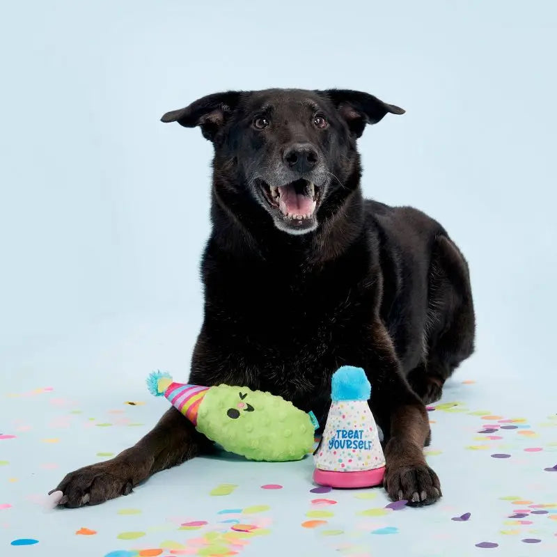 Party Pickle Dog Toy Squeaker