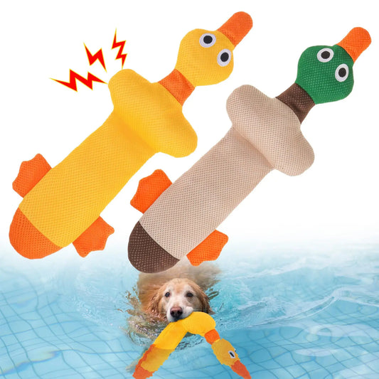 Floating Dog Water Pool Toys