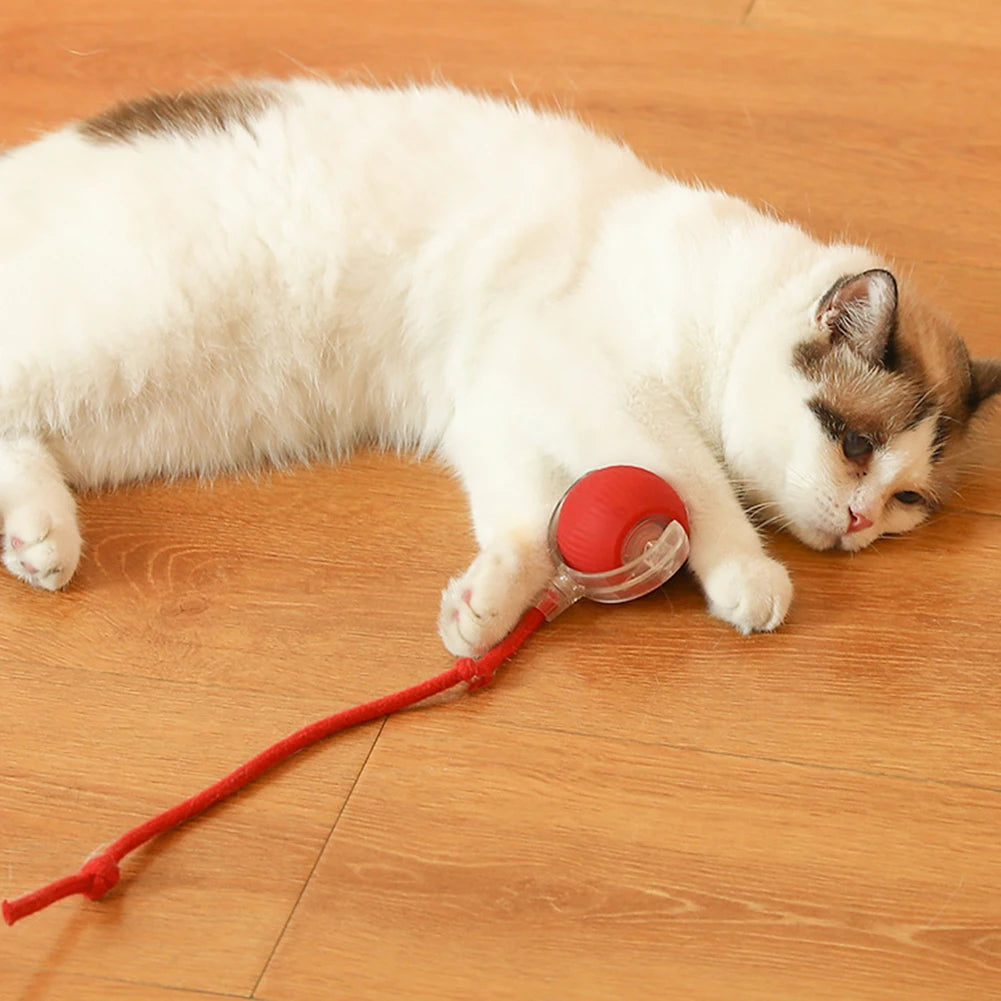 2PC/1PC Cat Interactive Ball Toys Rechargeable