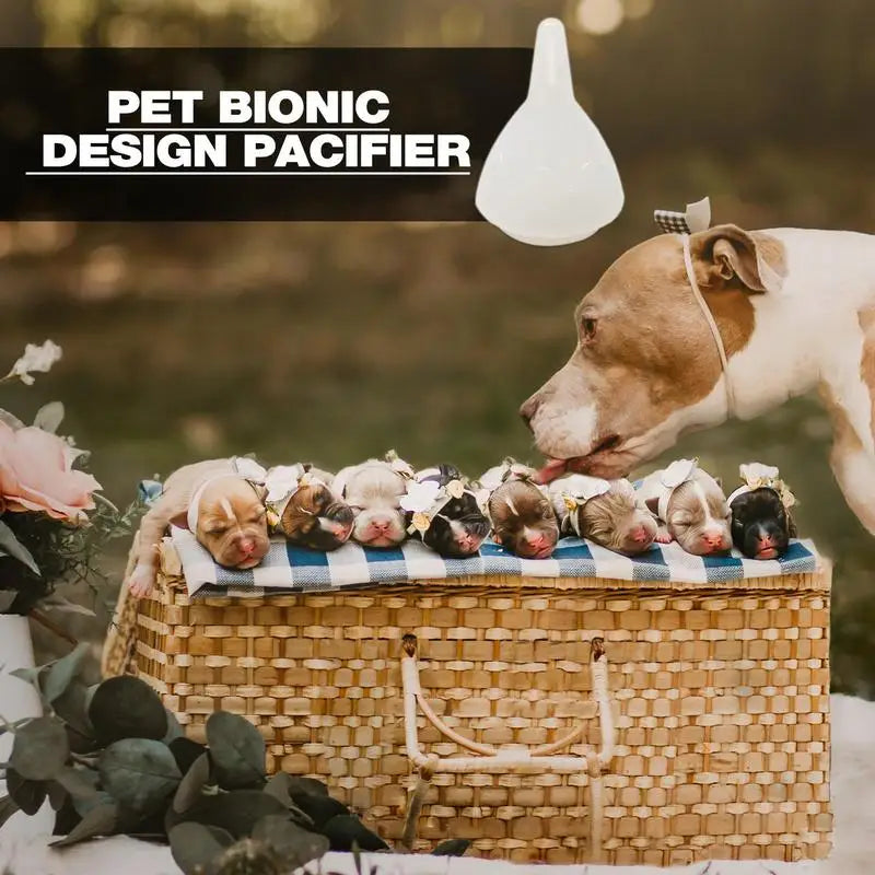 Syringe Nipple Pacifier Small Pet Feeder