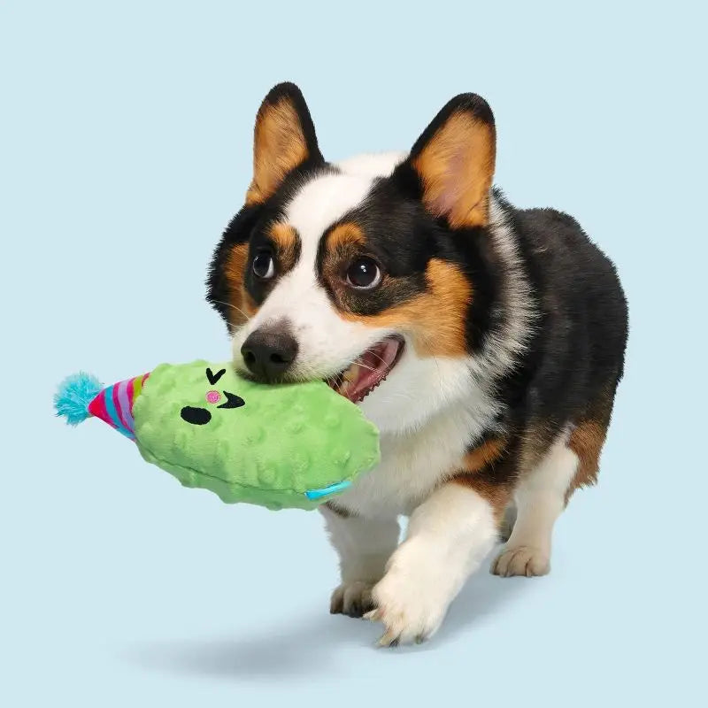Party Pickle Dog Toy Squeaker