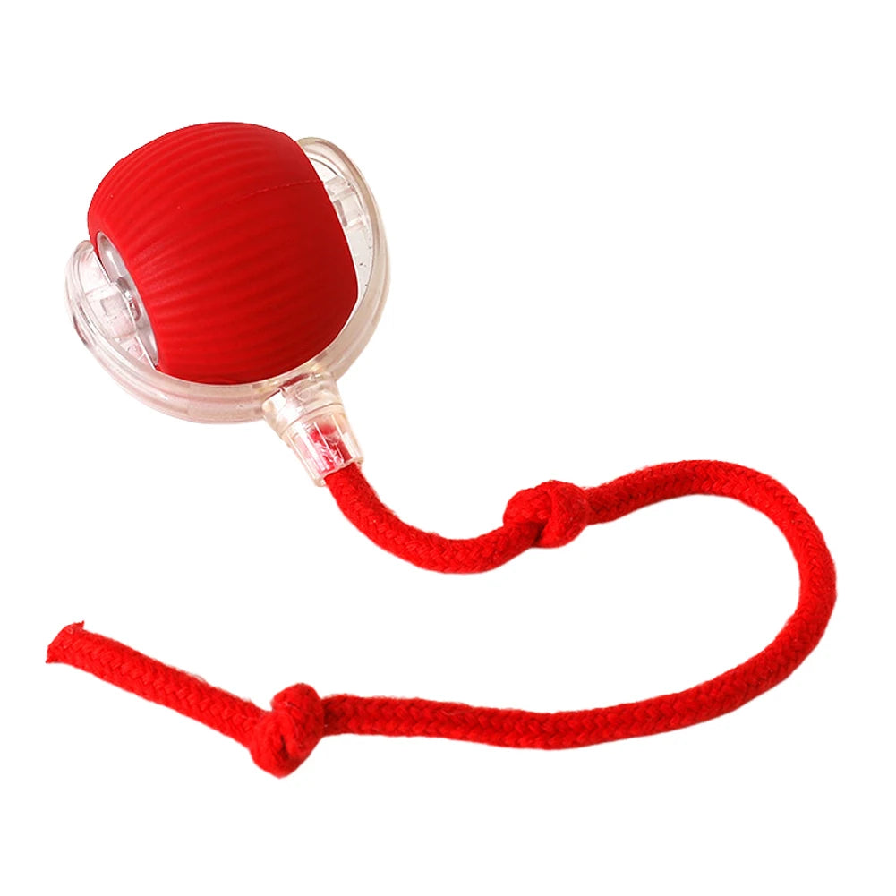2PC/1PC Cat Interactive Ball Toys Rechargeable