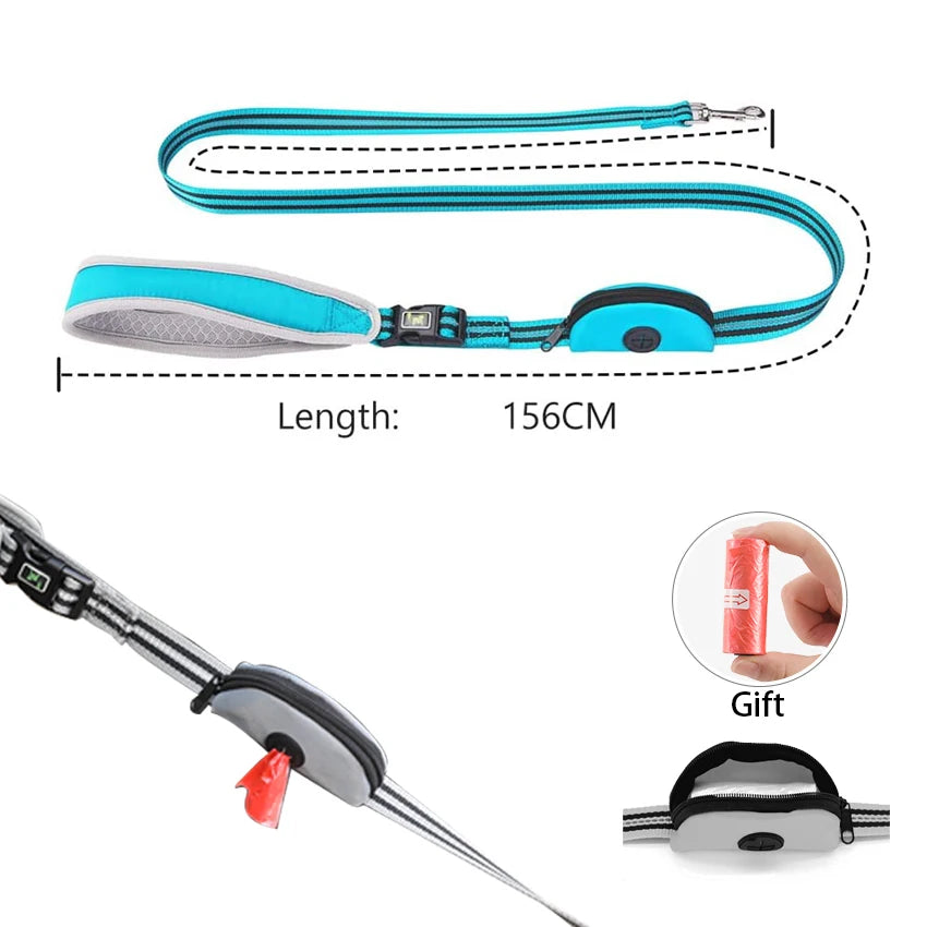 Dog Leash Reflective Nylon