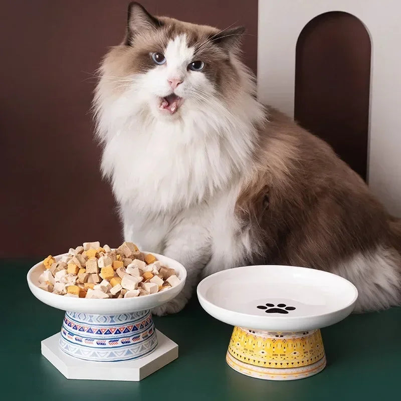 Raised Pet Food and Water Bowl