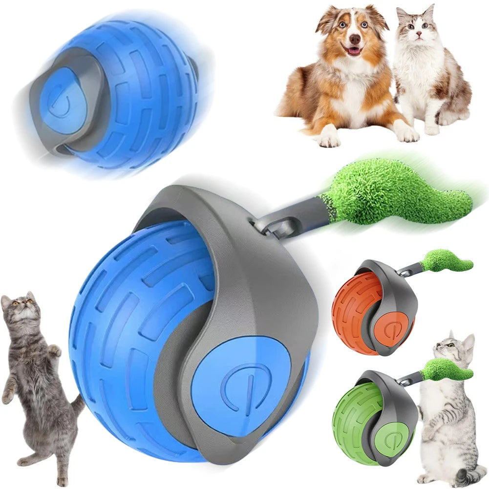 Cat Rolling Ball Interactive Cat Toy