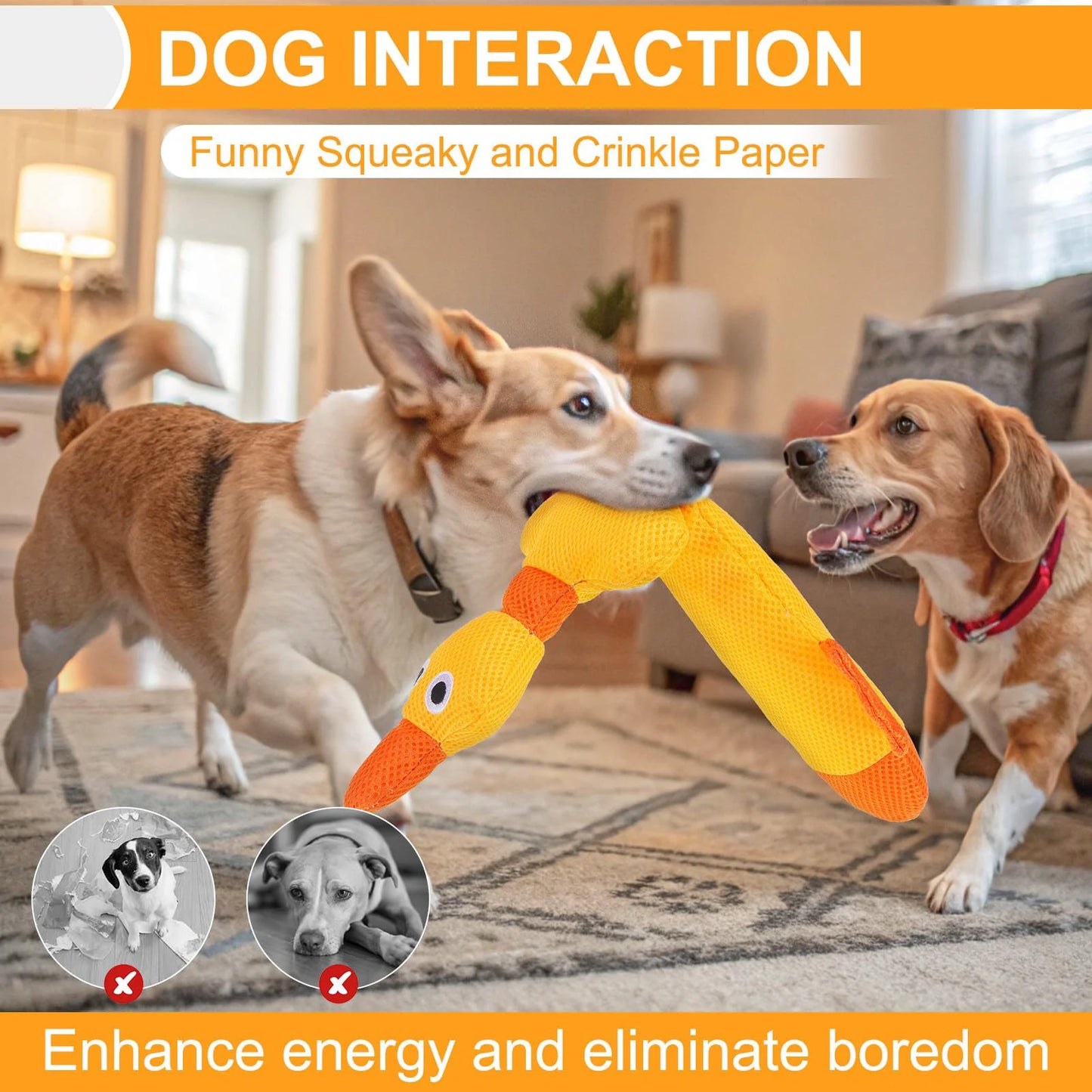 Floating Dog Water Pool Toys