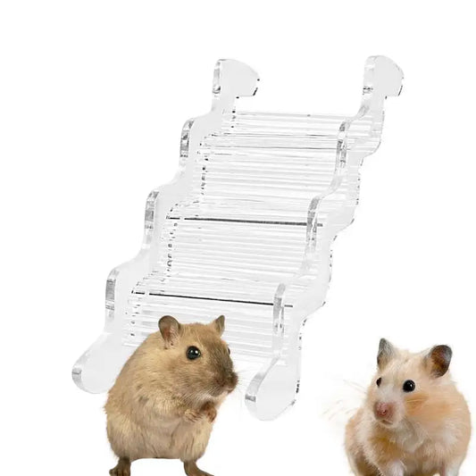 Hamster Climbing Stairs