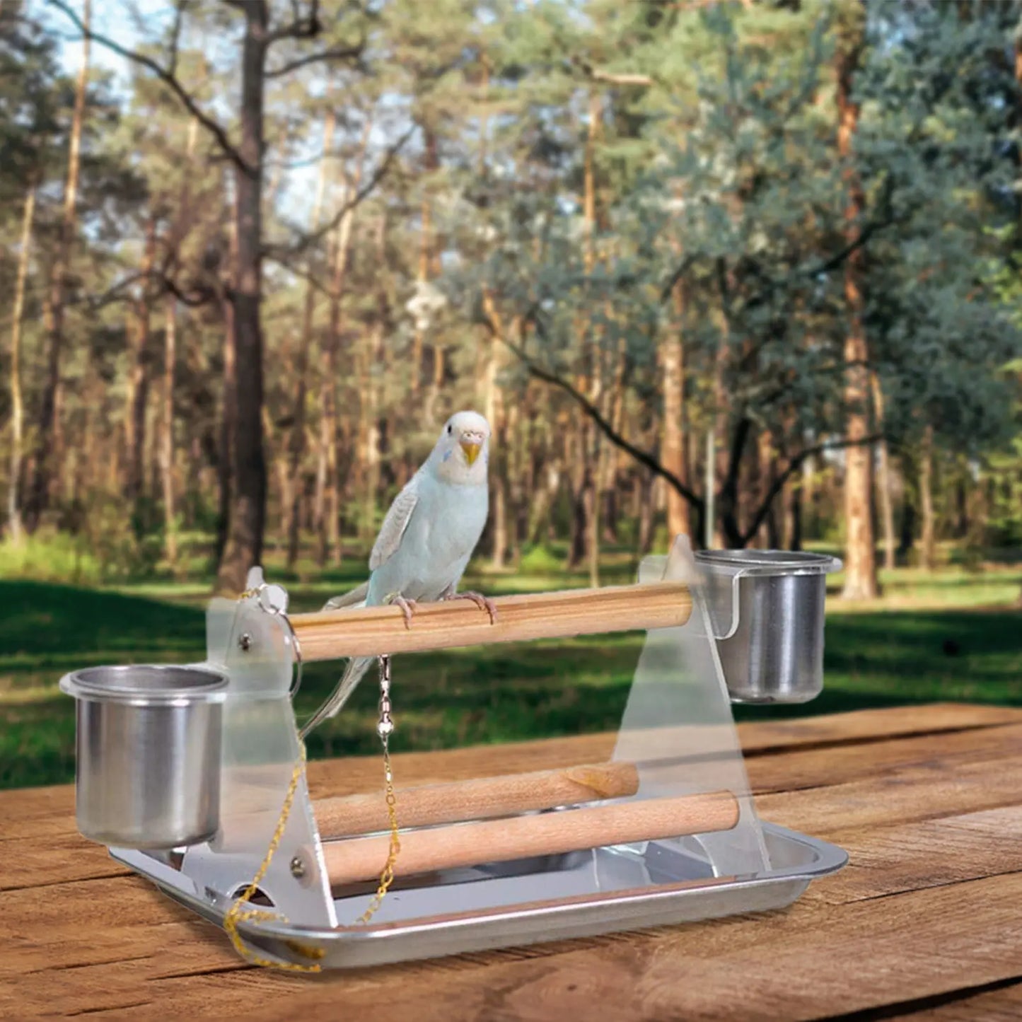 Bird Stand Play Stand