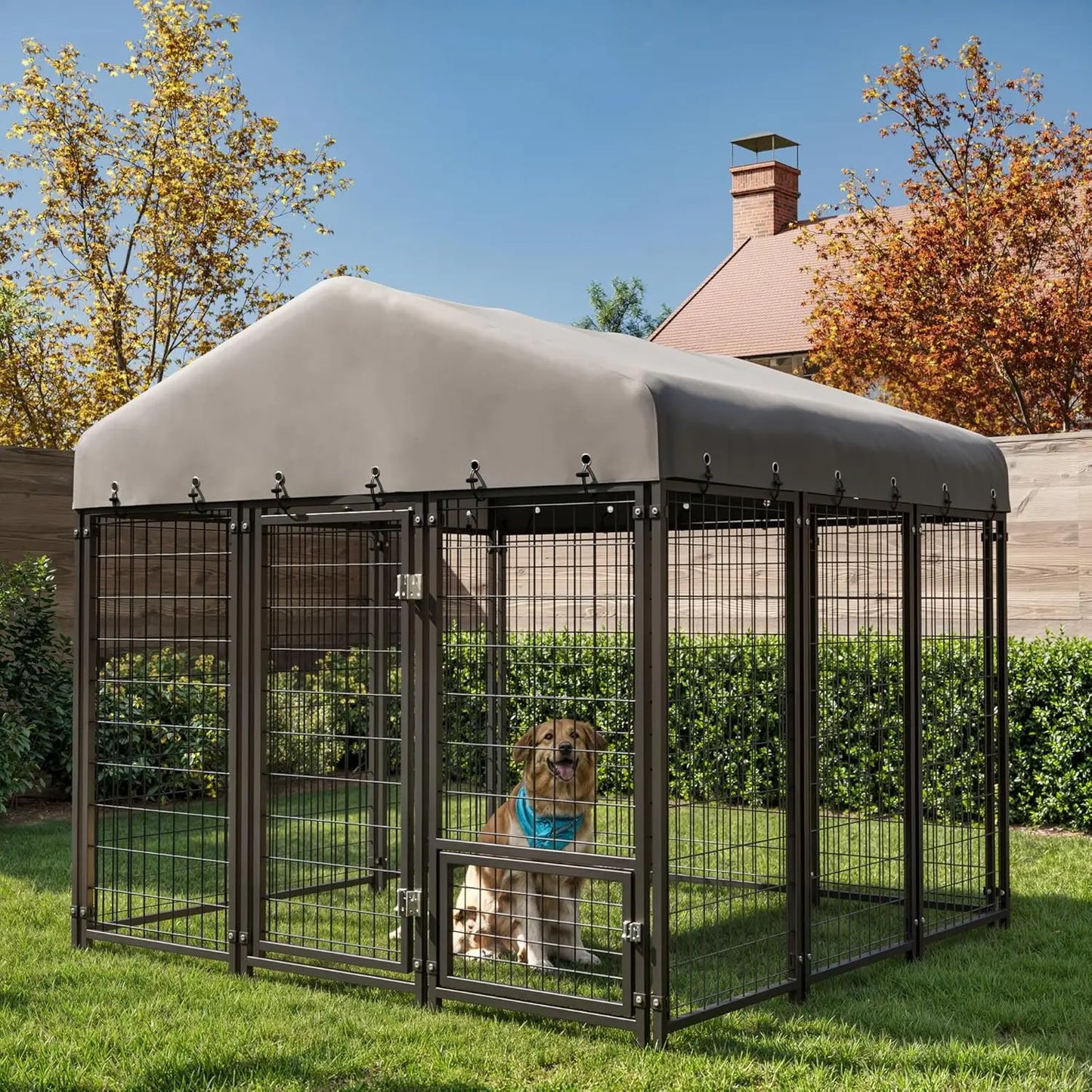 Outdoor Dog Kennel