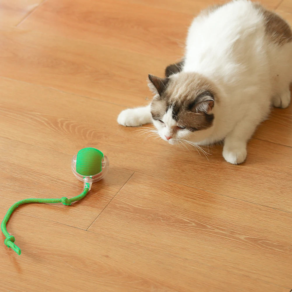 2PC/1PC Cat Interactive Ball Toys Rechargeable