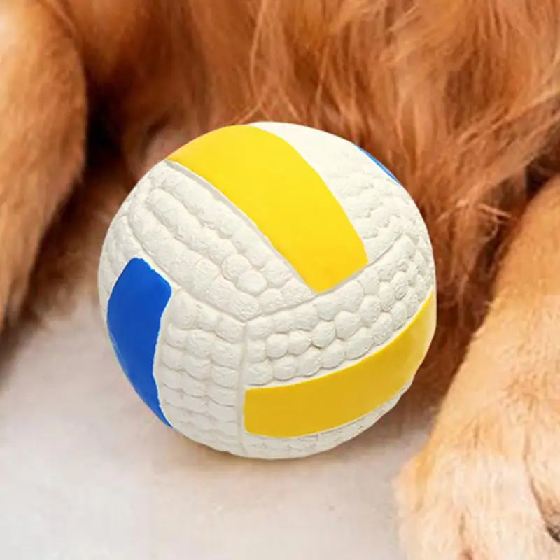 Soccer Ball Bouncing Squeaky Dog Balls