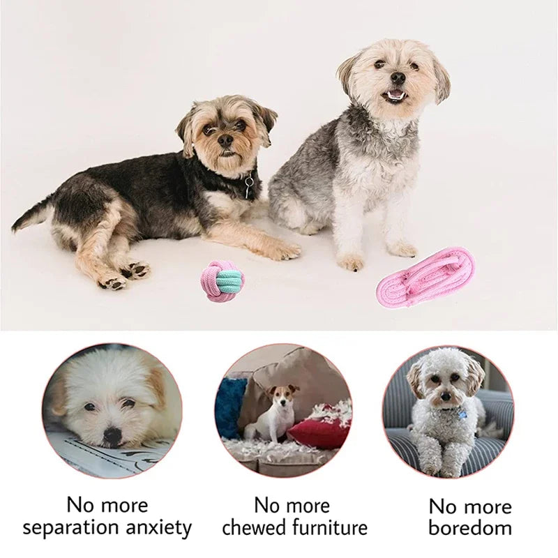 12PCS Pet Dog Toy Chew Toys