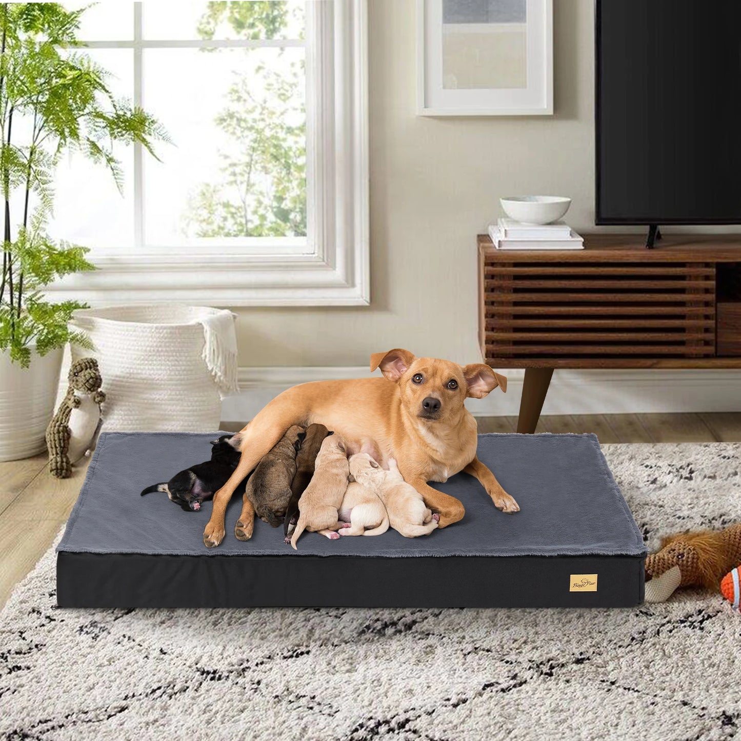 Orthopedic Dog Bed for Medium Large Dogs