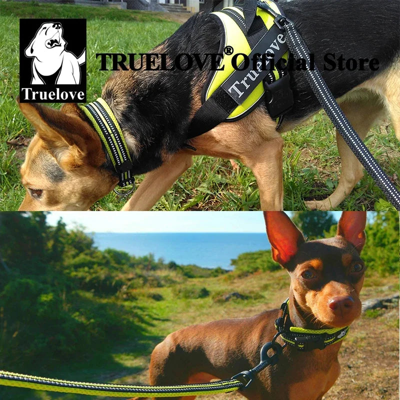 Nylon Durable Pet Collar