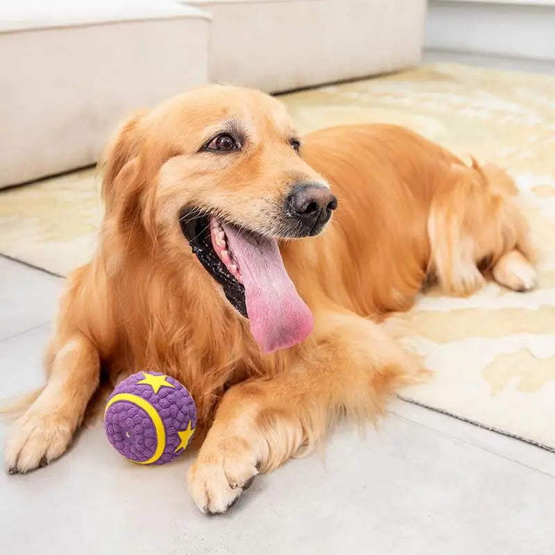 Soccer Ball Bouncing Squeaky Dog Balls