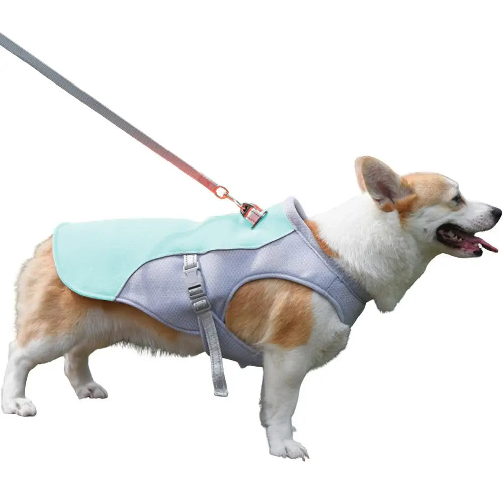 Dog Cooling Vest