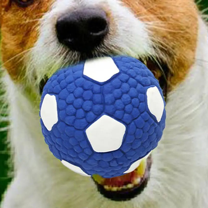 Soccer Ball Bouncing Squeaky Dog Balls