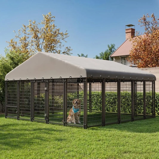 Outdoor Dog Kennel