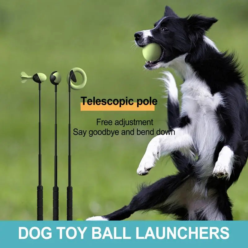 Dog Toys Throwing Ball Pole
