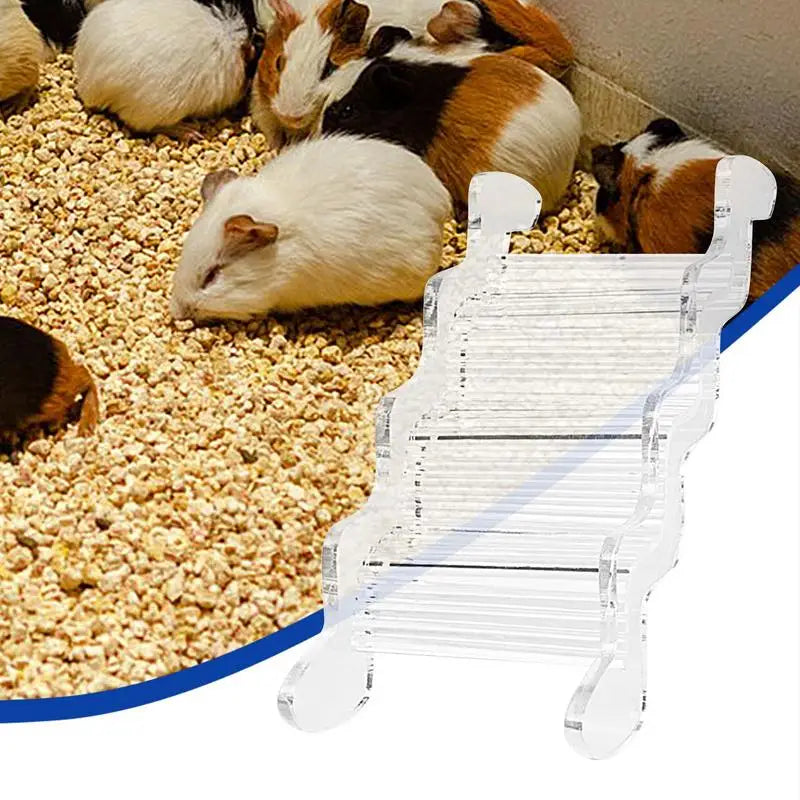 Hamster Climbing Stairs