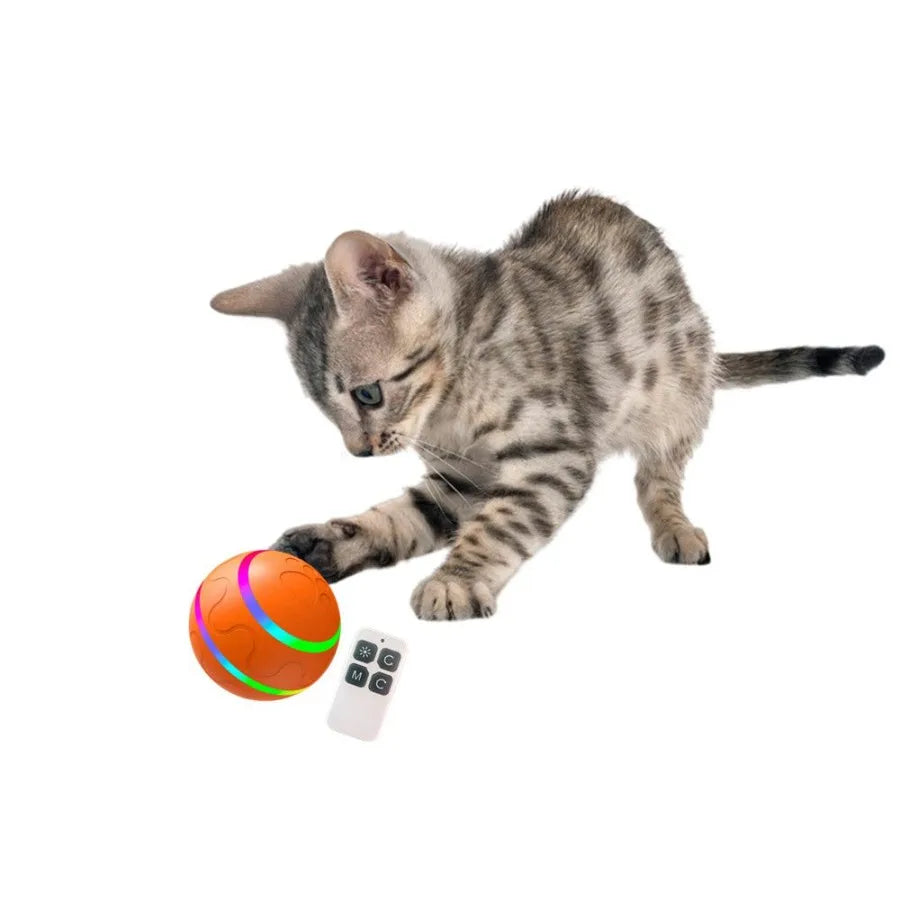 Interactive Electric Dog Chew Toy Ball