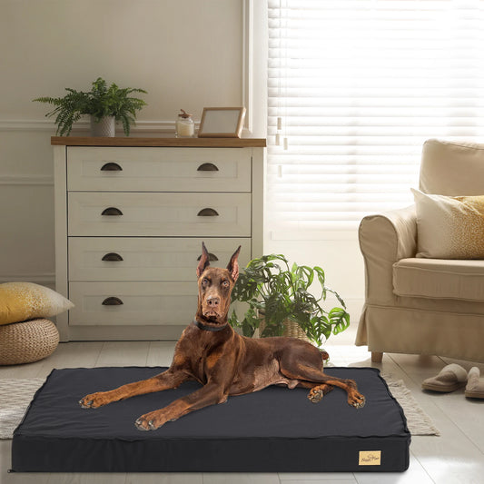 Orthopedic Dog Bed for Medium Large Dogs