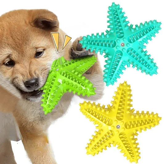 Vocal Starfish Dog Chew Toy