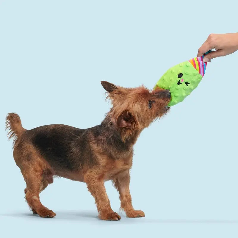 Party Pickle Dog Toy Squeaker