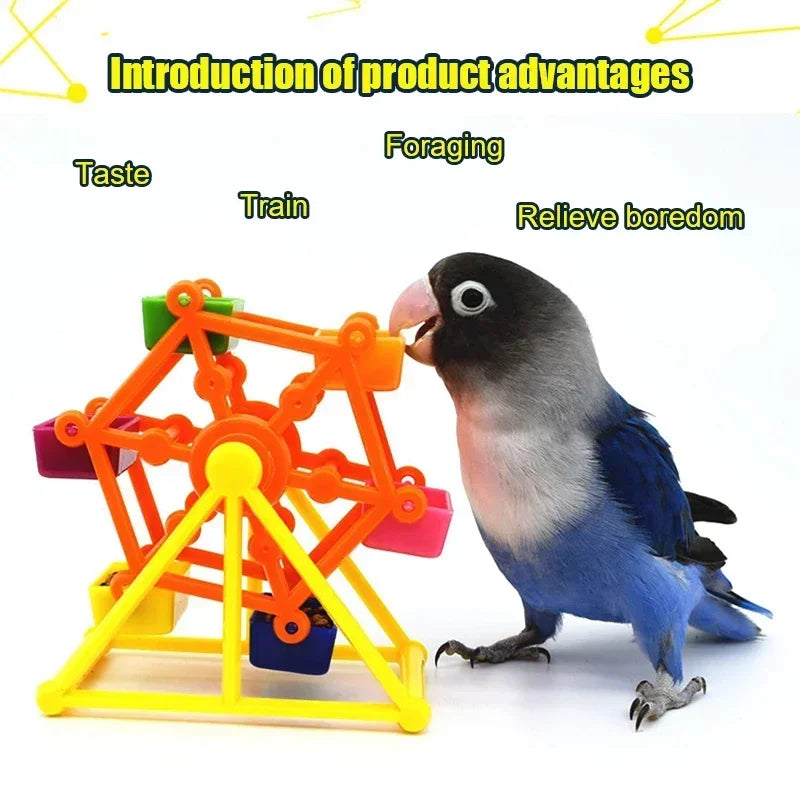 Creative Parrot Feeder Rotate Training Toys