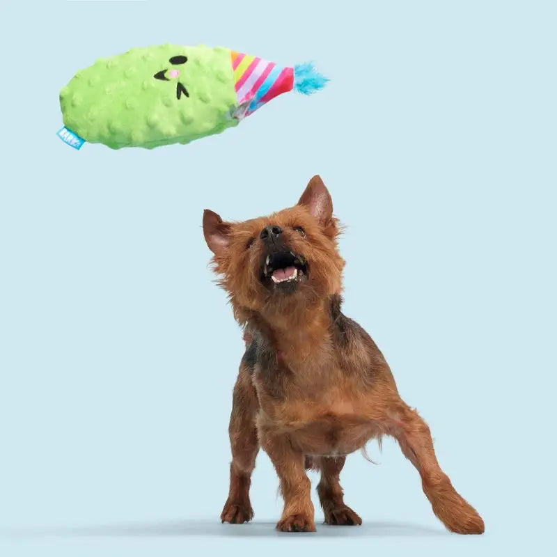 Party Pickle Dog Toy Squeaker