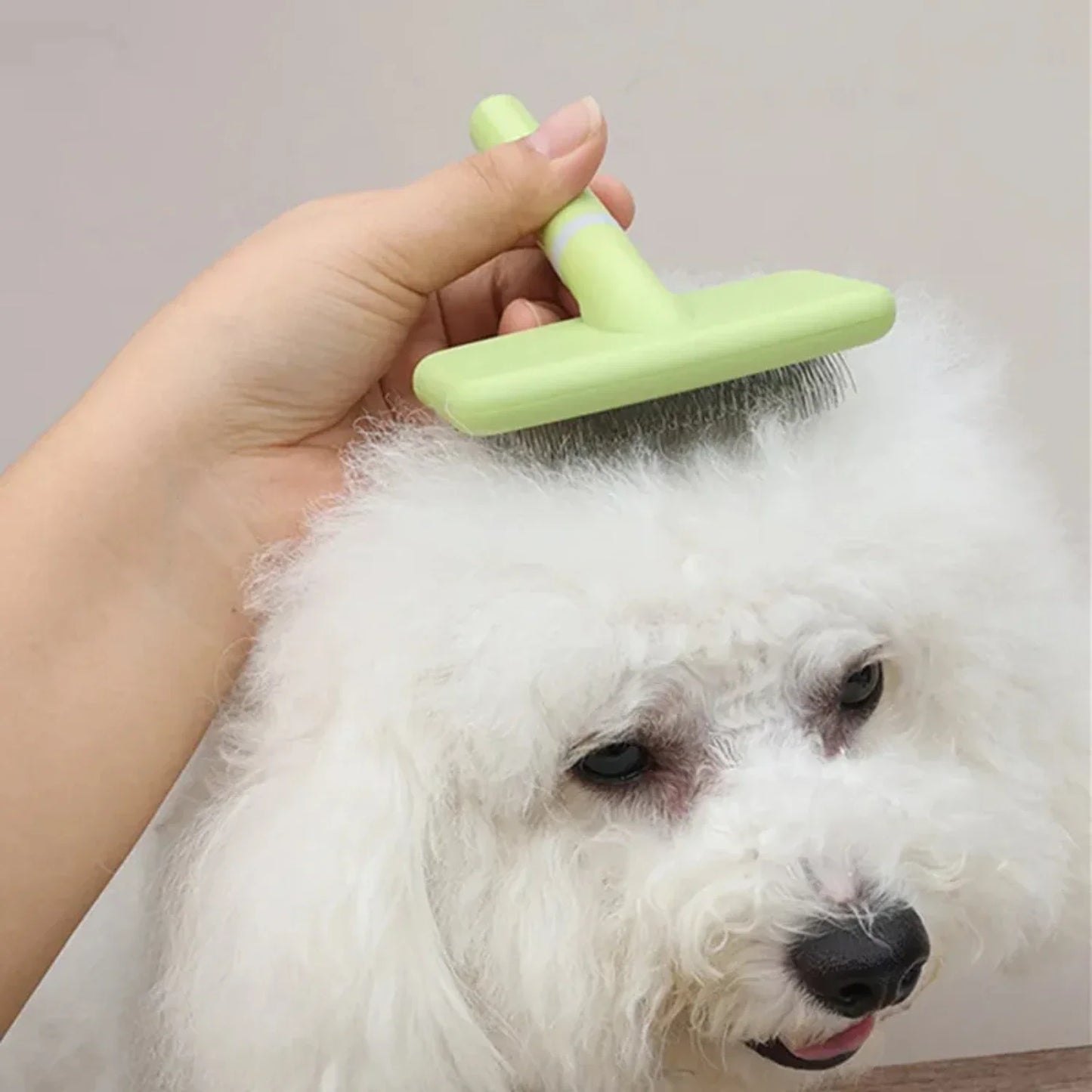 Dog Brush Pet Hair Remover