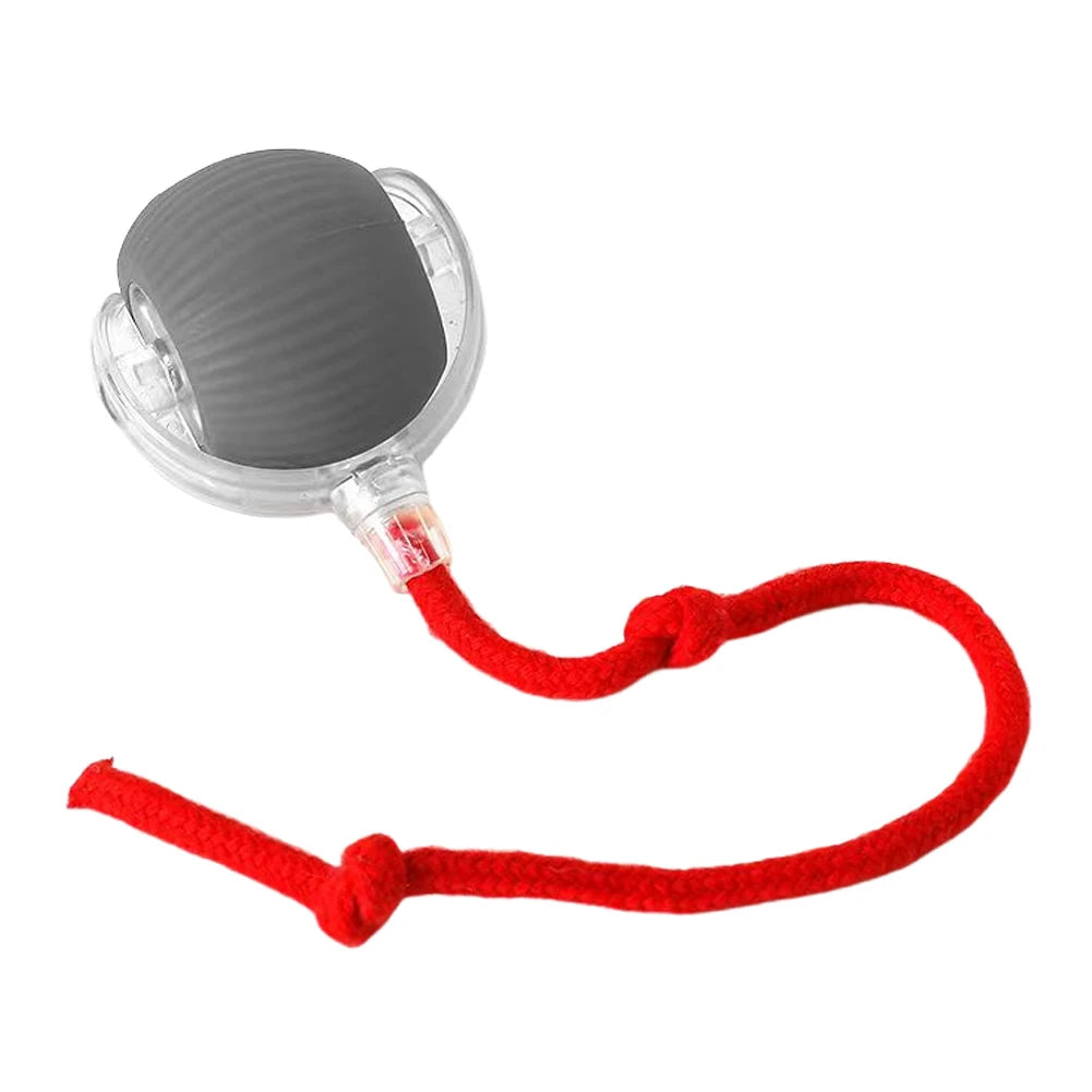 2PC/1PC Cat Interactive Ball Toys Rechargeable