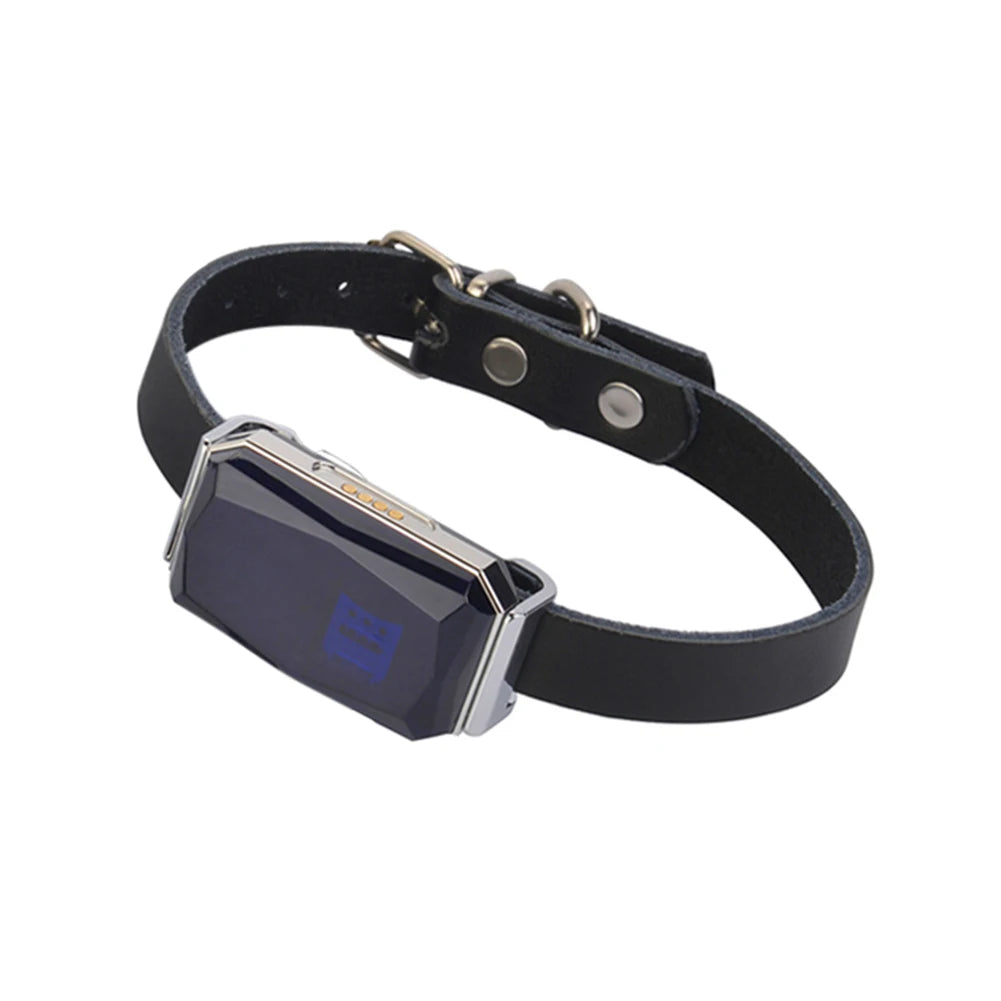 GPS Collar Pet Tracking Locator Wearable