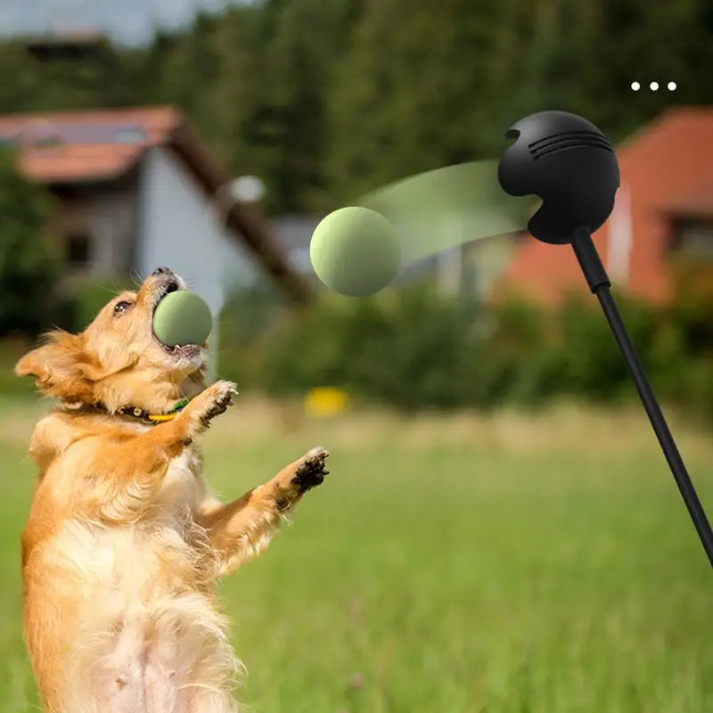 Dog Toys Throwing Ball Pole
